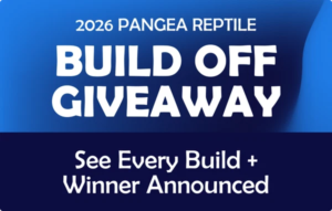 2026_Build_Off_Giveaway_All_Enclosure_Submissions_600x.png
