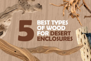 6_Best_Woods_for_Desert_Enclosure_Blog_Image-Desktop_600x.png