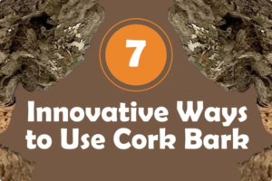 7_Innovative_Way_to_Use_Cork_Blog_Header_842ec6c3-7794-4e22-992c-c81cc73b9304_600x.png