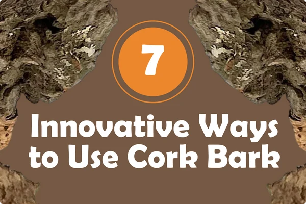 7_Innovative_Way_to_Use_Cork_Blog_Header_842ec6c3-7794-4e22-992c-c81cc73b9304_600x.png