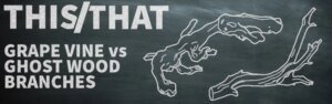 GV_vs_GW_blog_banner_f0738bed-1e44-4db4-92bc-f2f1f6a272b6_600x.jpg