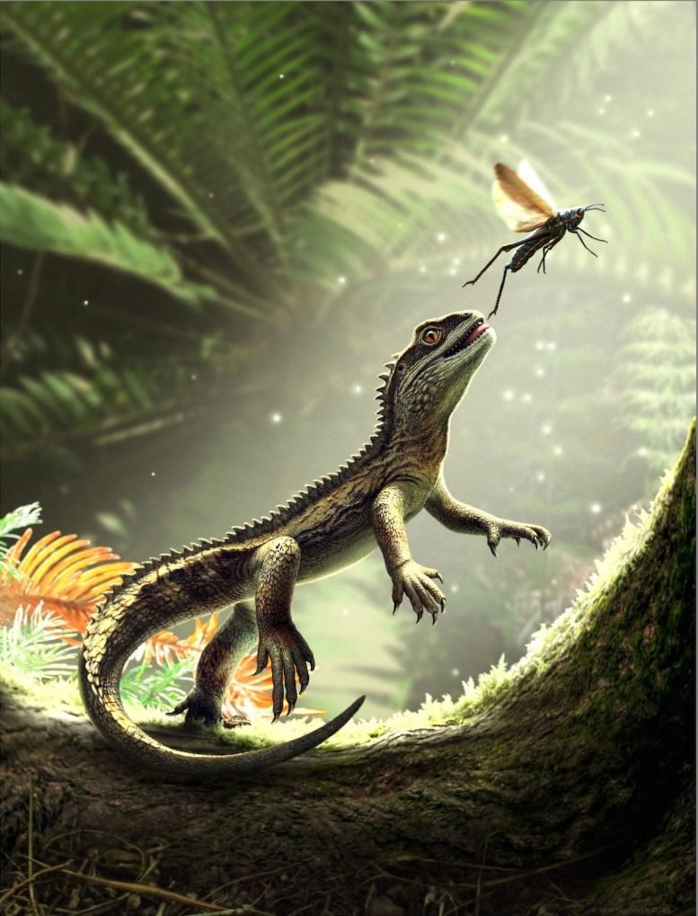 Reconstructed-Lizard-Catching-Insect-777x1019.jpg