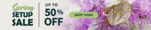 Spring_Set_Up_Sale_Homepage_Desktop_v2_600x.jpg