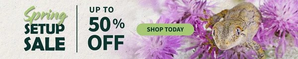 Spring_Set_Up_Sale_Homepage_Desktop_v2_600x.jpg