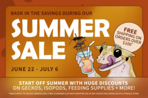 Summer_Sale_Blog_Image_8c2c303a-24b5-4e8b-8ac4-17cf1f05f984_600x.png