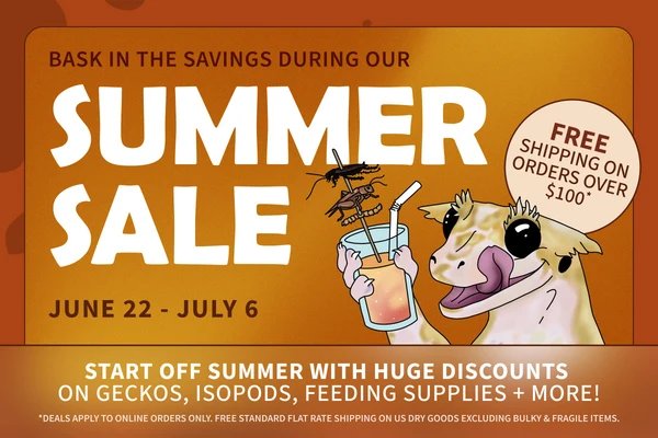 Summer_Sale_Blog_Image_8c2c303a-24b5-4e8b-8ac4-17cf1f05f984_600x.png