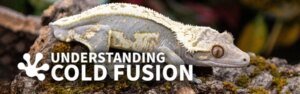 Understanding_Cold_Fusion_70280e63-75f6-4307-b05e-ab7eb47d93df_600x.jpg