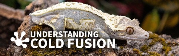 Understanding_Cold_Fusion_70280e63-75f6-4307-b05e-ab7eb47d93df_600x.jpg