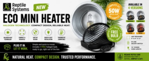 web_banner_2_909b62d1-7c55-4d2d-b843-4c662ddef4ee_600x.png